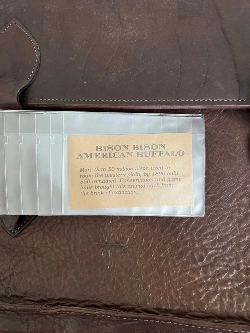 Buffalo Billfold Company 1920s Attache Briefcase American Bison Leather USA Made